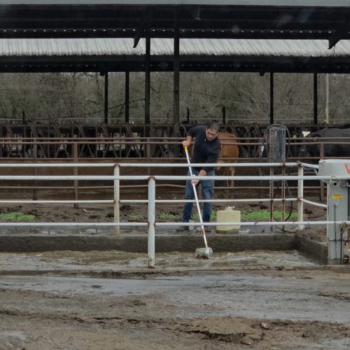 4a51eda3-dd1f-467c-b17c-185e34c775ba